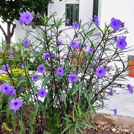 Ancient Meropia, Сasa de vacaciones