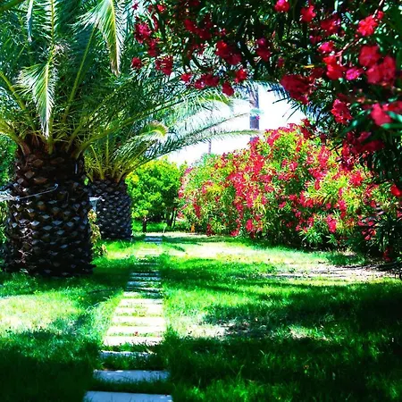 Ancient Meropia, Apollonia