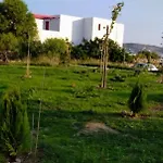 Ancient Meropia,