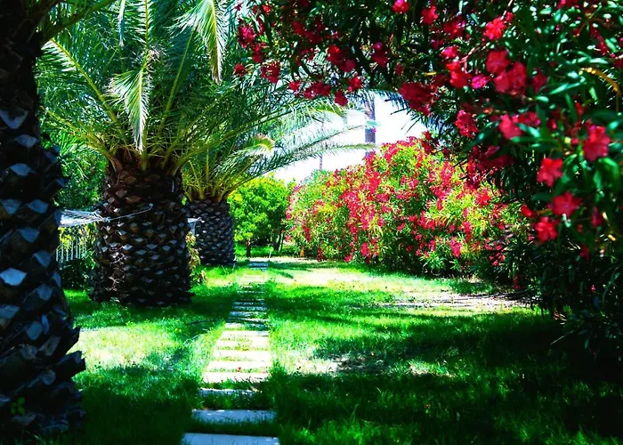 Ancient Meropia, Apollonia